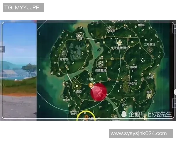 雨林地图跳点选择与前期运营策略全面解析与实战技巧分享