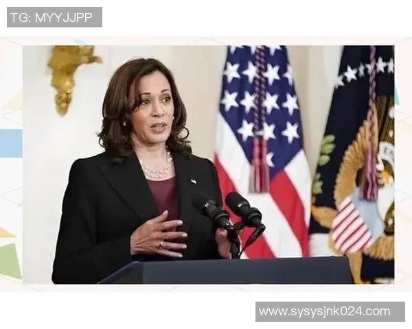 美国2024大选前瞻:政治极化加剧对选民行为的深远影响分析 美国2024大选前瞻:政治极化加剧对选民行为的深远影响分析